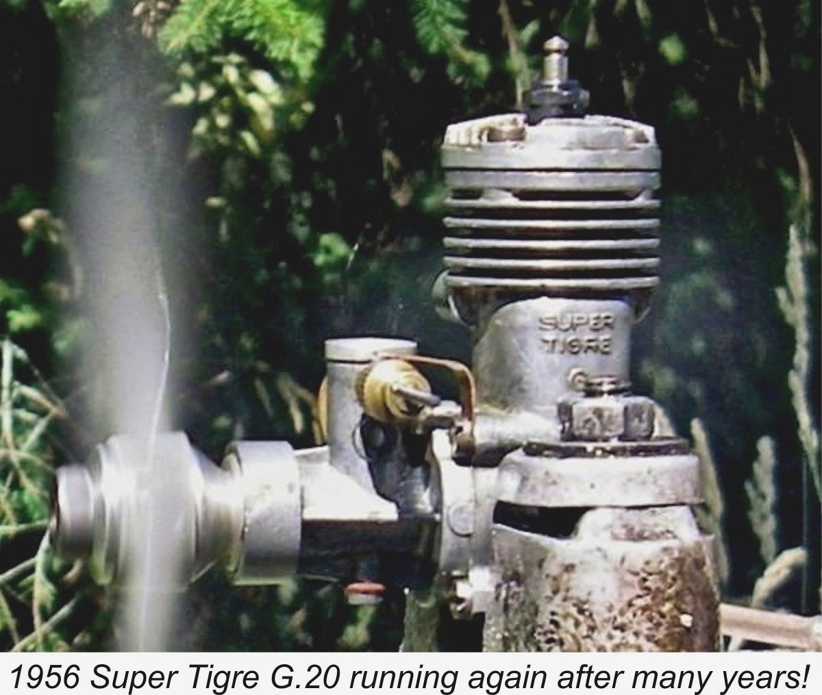 super tigre gs 40 products for sale | eBay
